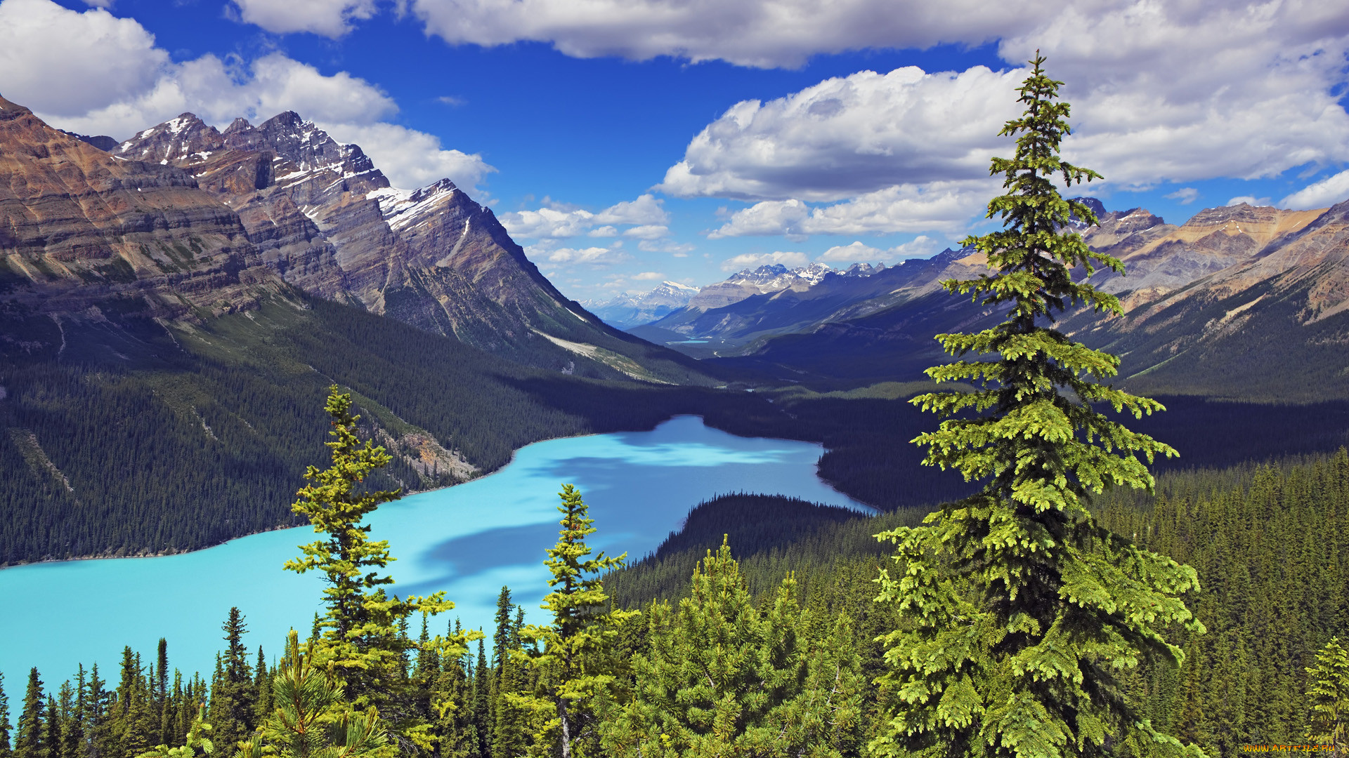 , , , , , , peyto, lake, banff, national, park, canada, , , , , 